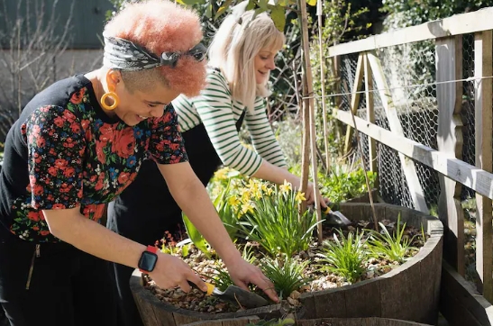 big garden pots