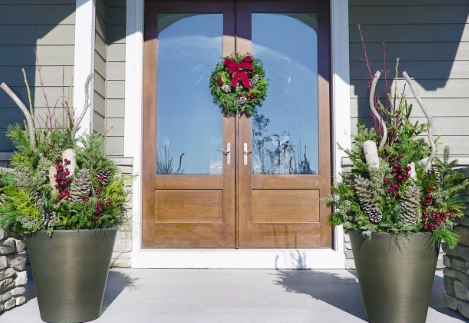 outdoor plants in pots delivered