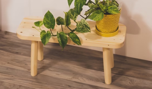 short plant stand