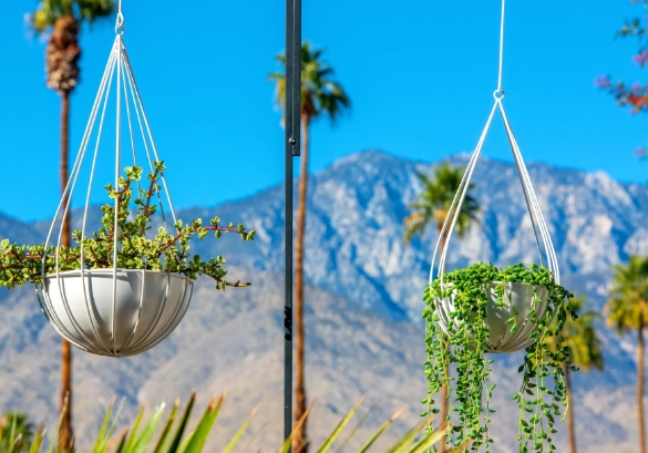 metal hanging planters