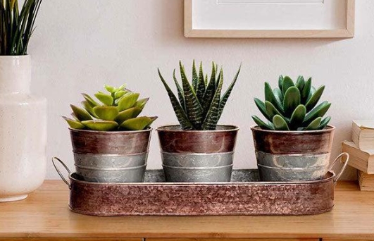 decorative indoor plant pots