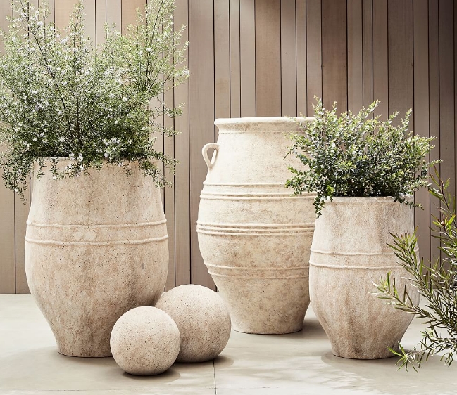 cement pots for plants