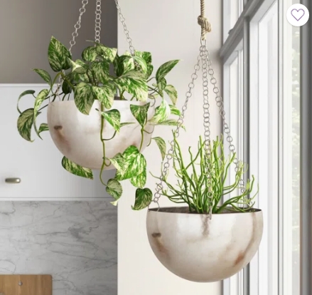 indoor hanging basket