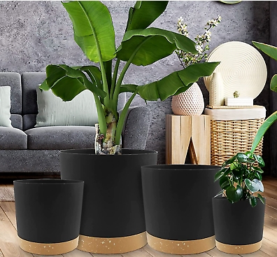 12 plant pot