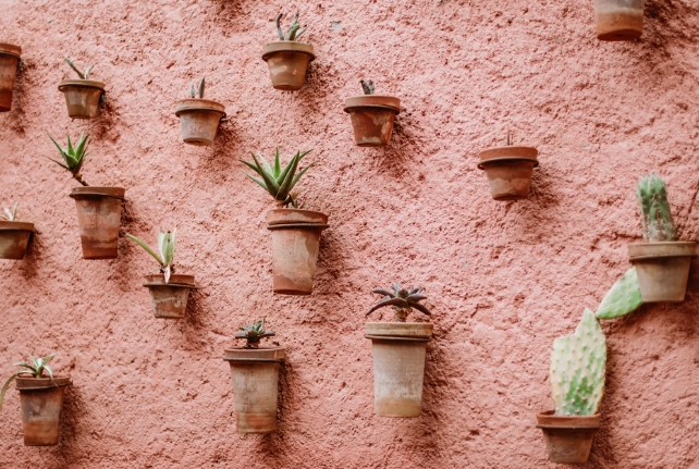 wall plant pots