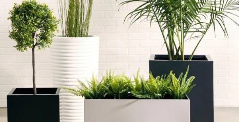 plant trough outdoor