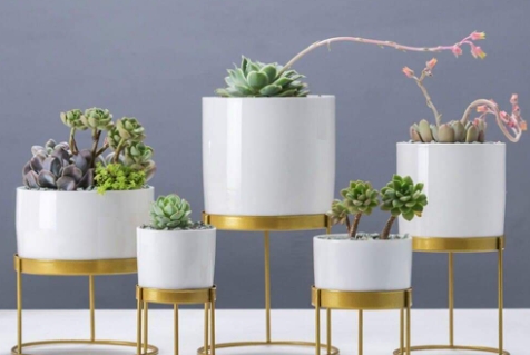 gold flower pot