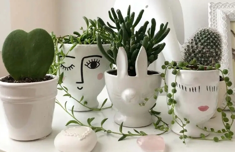 funky plant pots