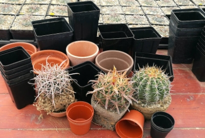 plastic terracotta pots