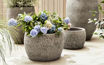 stone plant pot