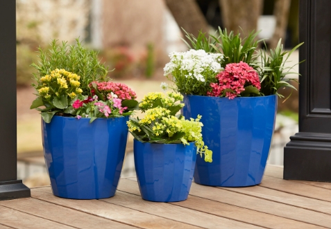 blue flower pots