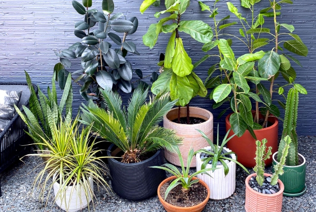 large planter with drainage