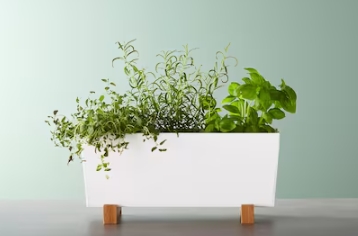 large plant pot with stand