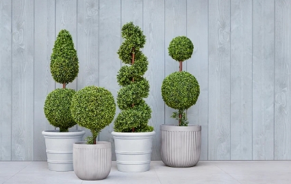 artificial potted plants outdoor