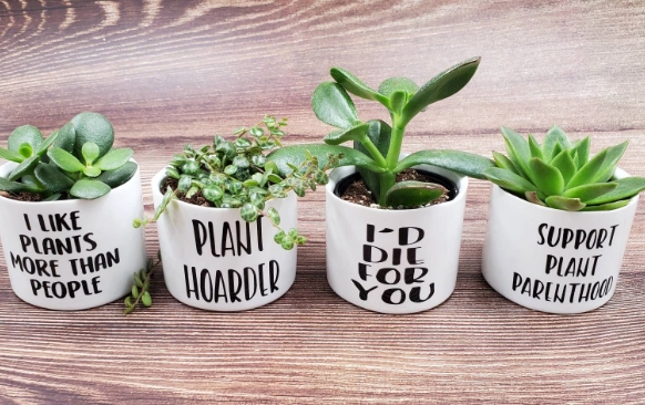 funny plant pots