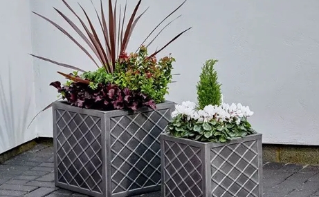 argos plant pots