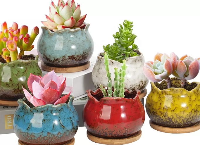 4 inch pots for plants