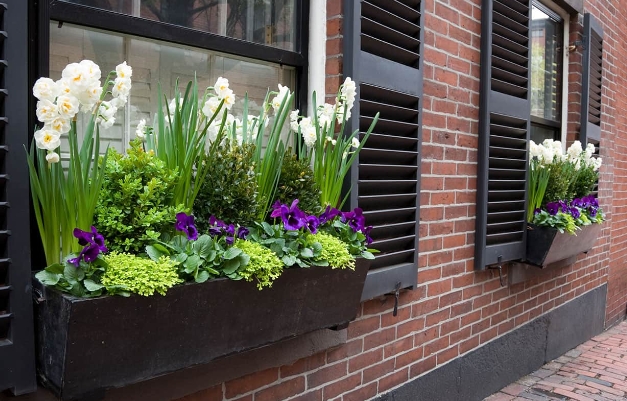 window garden box