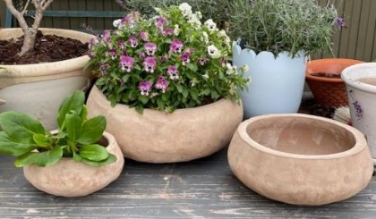 shallow terracotta pots