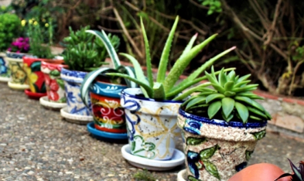 flower pots online