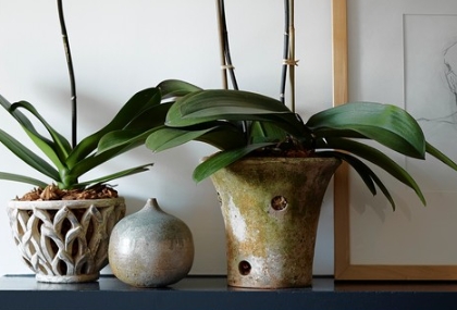 ceramic orchid pots