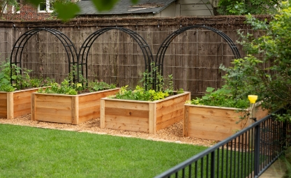 elevated garden boxes