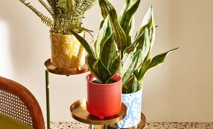 oliver bonas plant pot