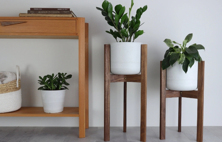 cool plant stands