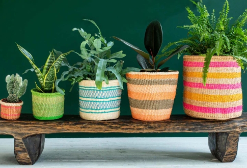 woven plant pot