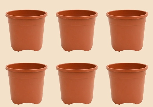 8 inch terracotta pots