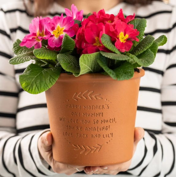 buy plant pots online