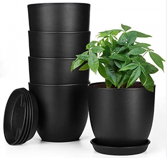 black indoor plant pot