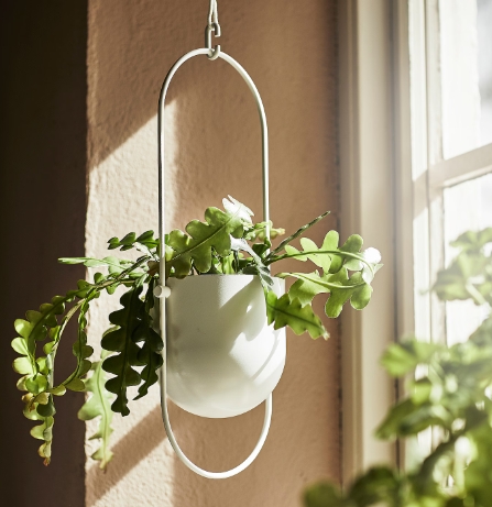 hanging plant holders outdoor