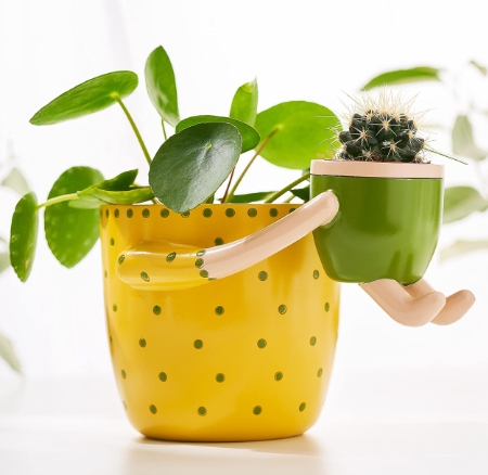 small plant pots indoor