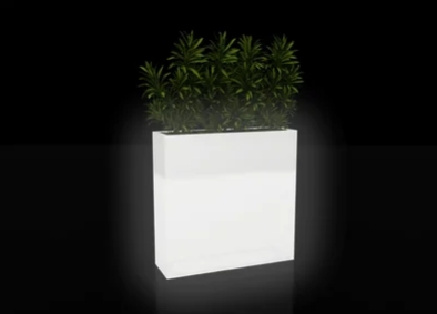 white flower pot