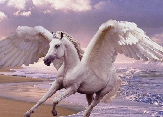 White Horse Pegasus