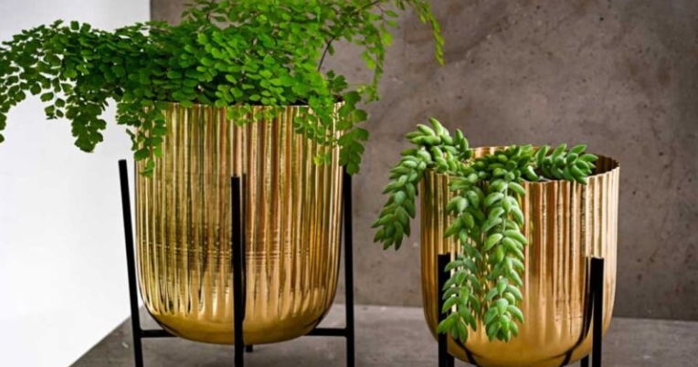 gold plant stand indoor