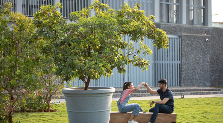 big outdoor pots