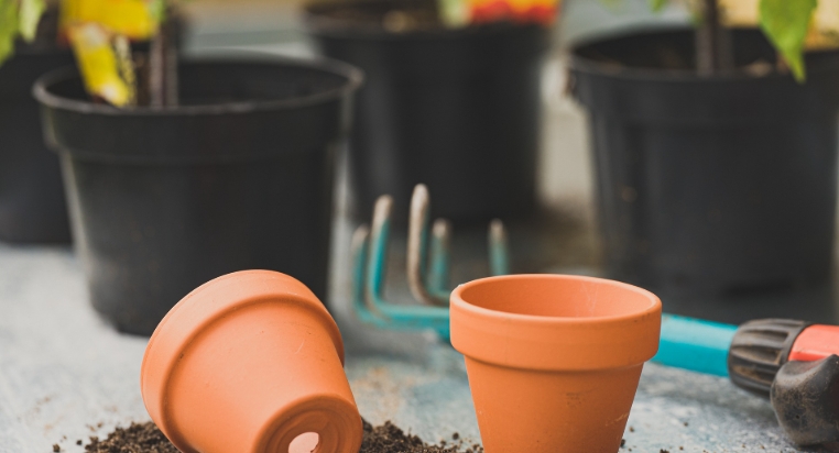 plant container