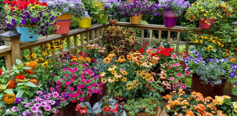 garden flower pots