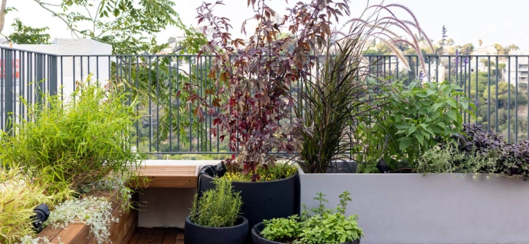 balcony garden pots