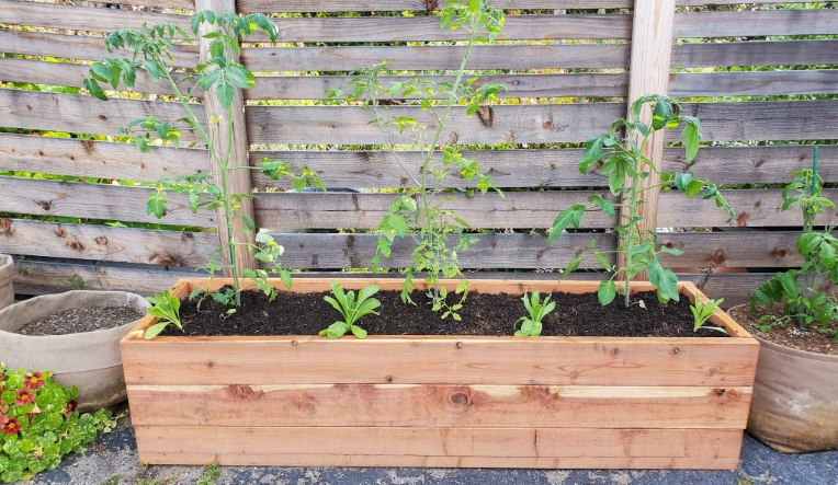 patio flower boxes