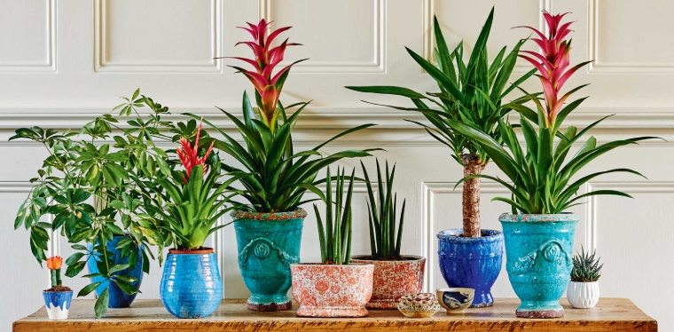 wayfair flower pots