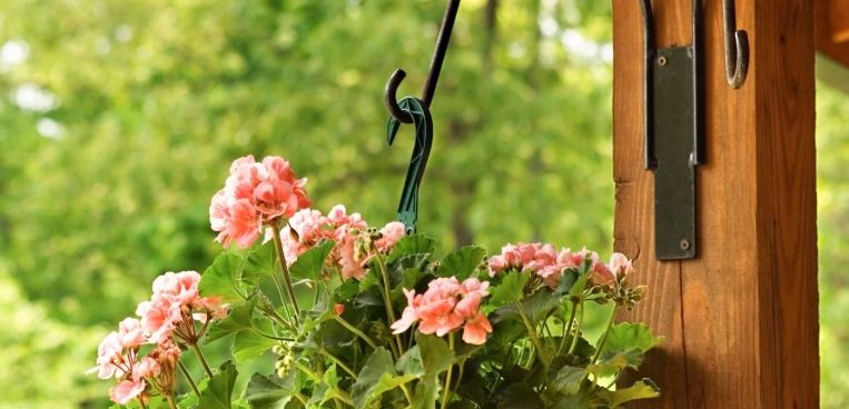 hanging flower pots outdoor