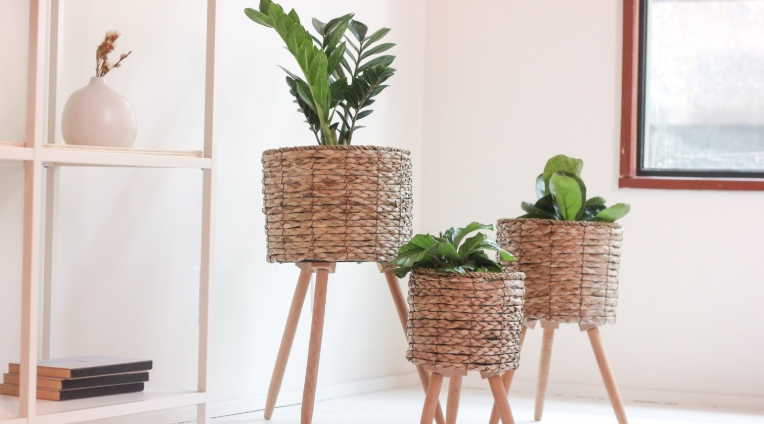 woven plant stand