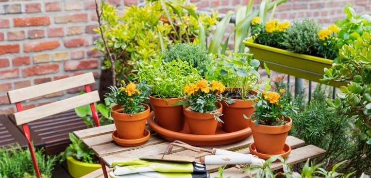 herb garden planters