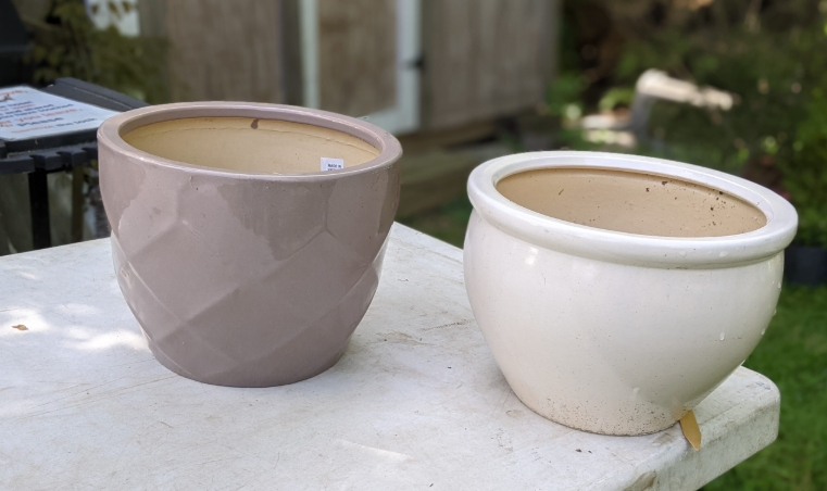 white indoor plant pot