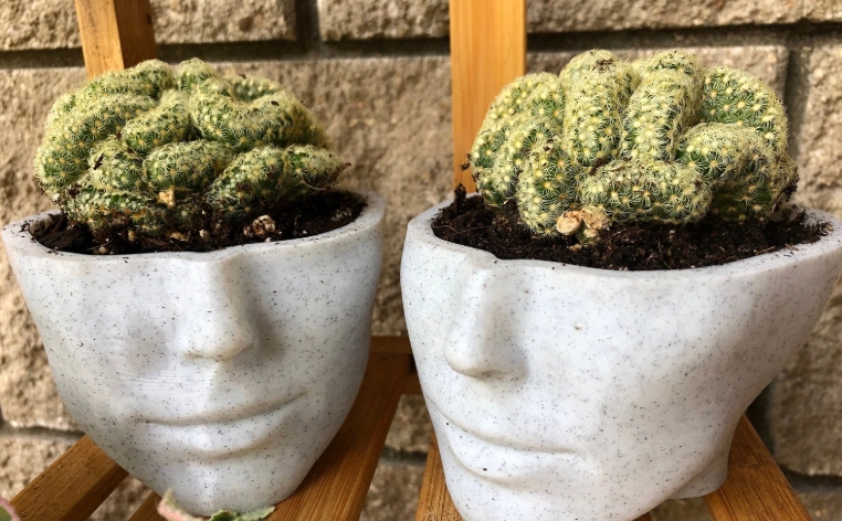 face flower pot head planter